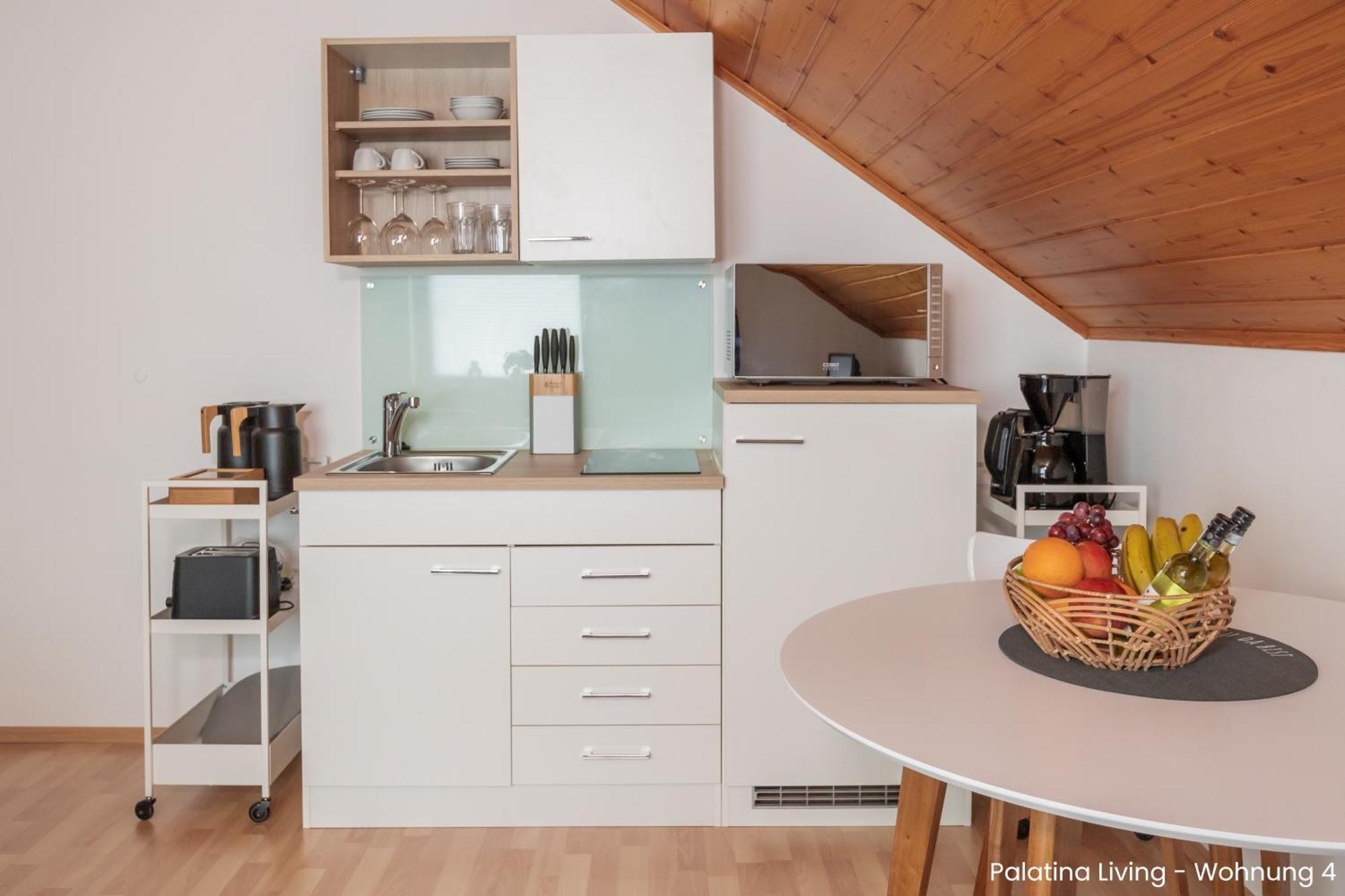Palatina Living Appartement Fischbach Buitenkant foto