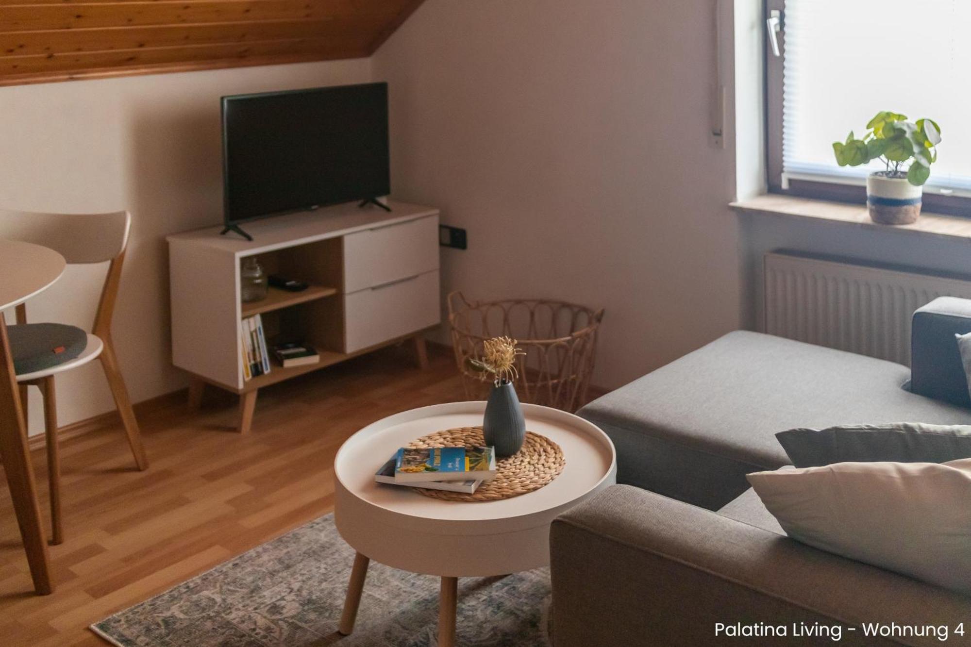 Palatina Living Appartement Fischbach Buitenkant foto