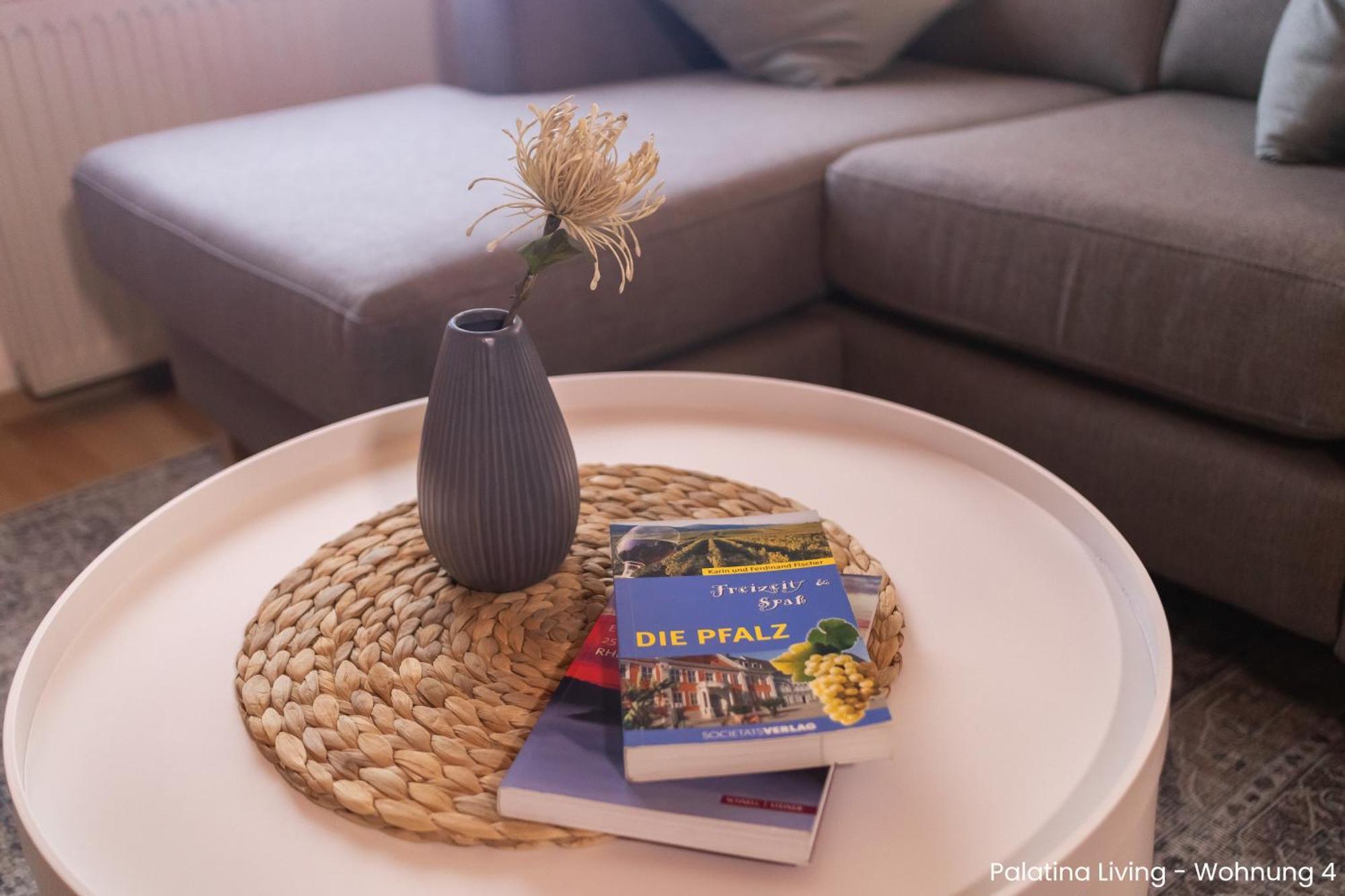 Palatina Living Appartement Fischbach Buitenkant foto