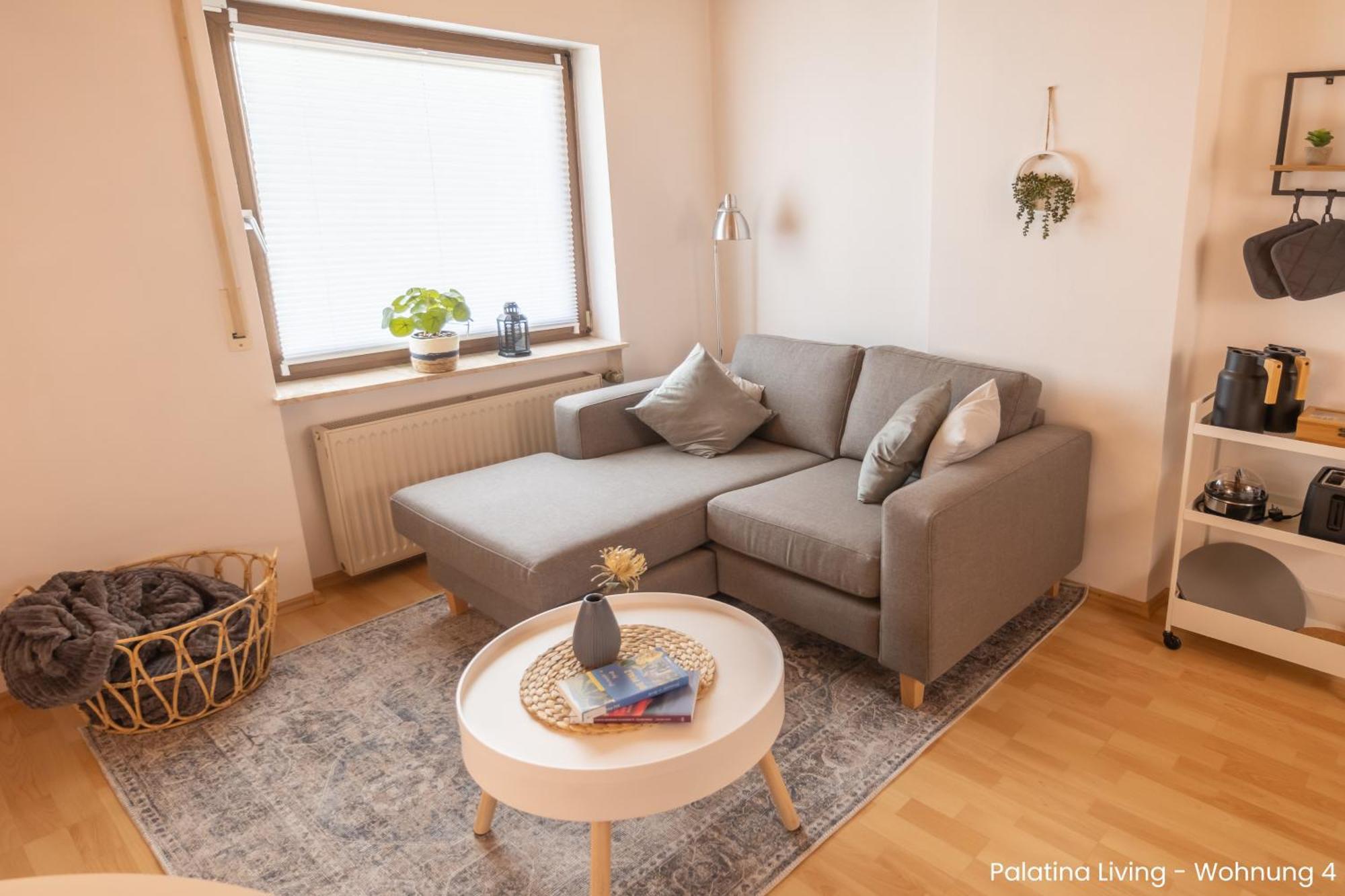 Palatina Living Appartement Fischbach Buitenkant foto