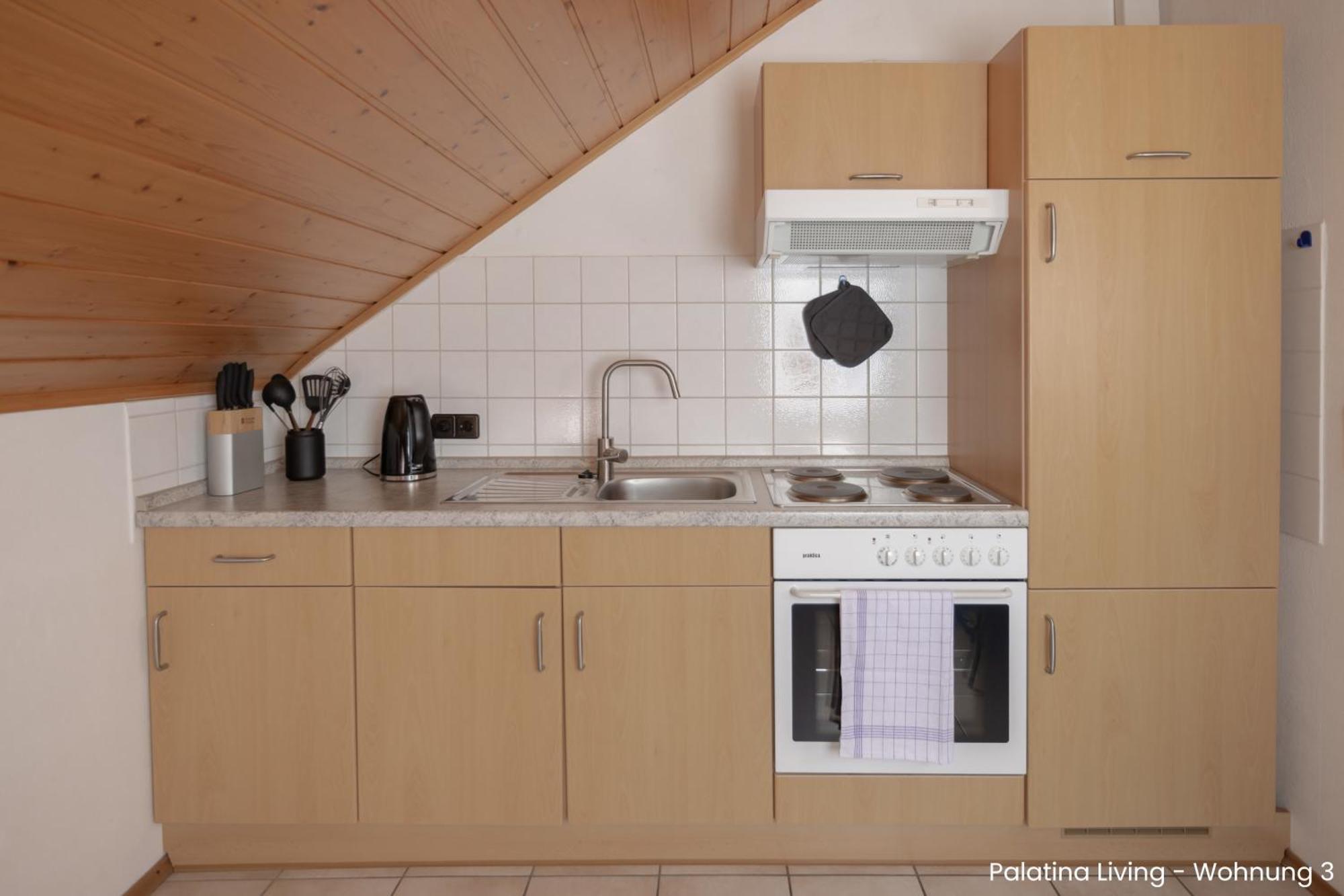 Palatina Living Appartement Fischbach Buitenkant foto