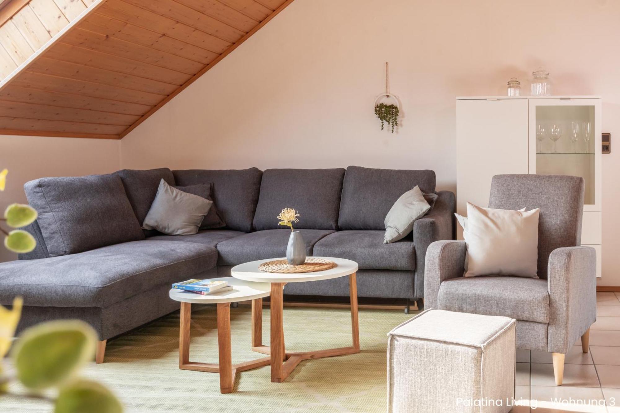 Palatina Living Appartement Fischbach Buitenkant foto