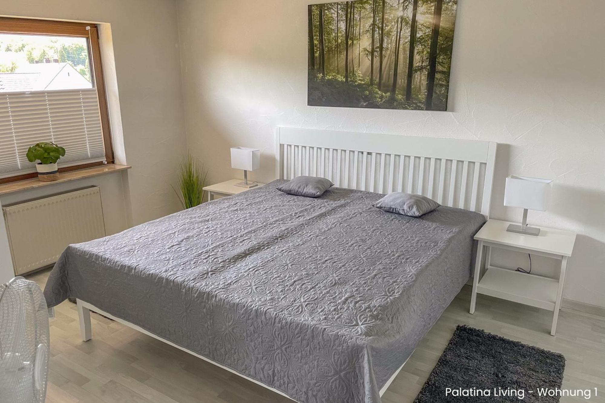 Palatina Living Appartement Fischbach Buitenkant foto