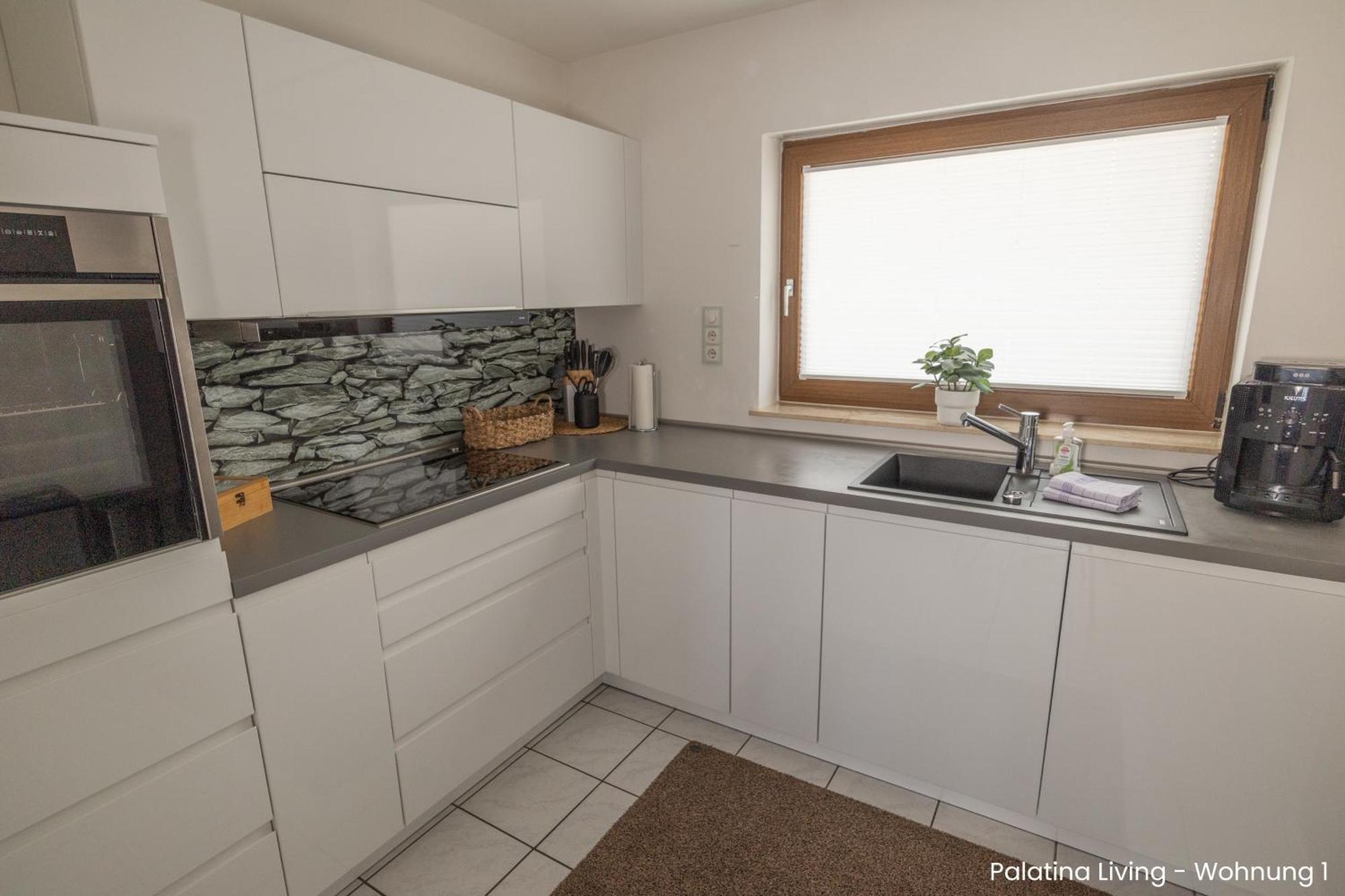 Palatina Living Appartement Fischbach Buitenkant foto