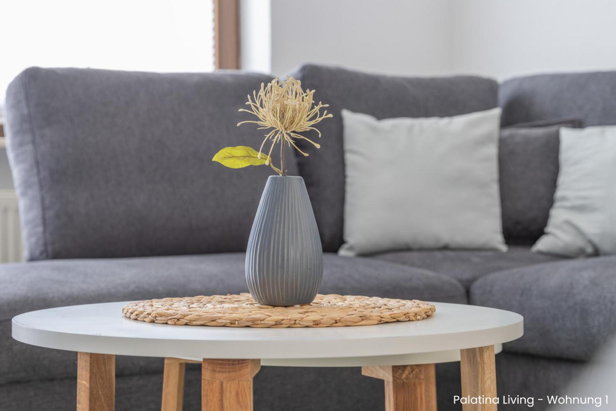 Palatina Living Appartement Fischbach Buitenkant foto